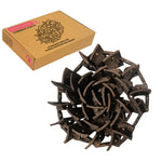 Case Header Clean Grain Elevator Chain-87281911