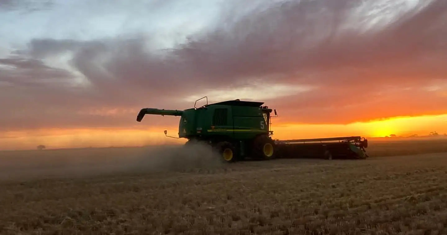 Combine harvesting at sunset in an Australian paddock